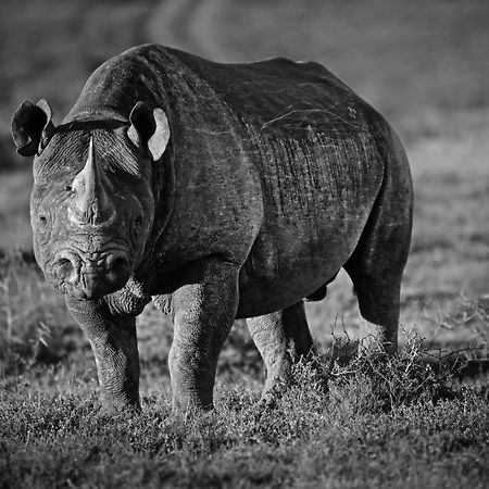 Riverbend Lodge Addo Esterno foto
