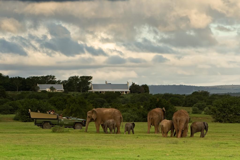 Riverbend Lodge Addo Esterno foto