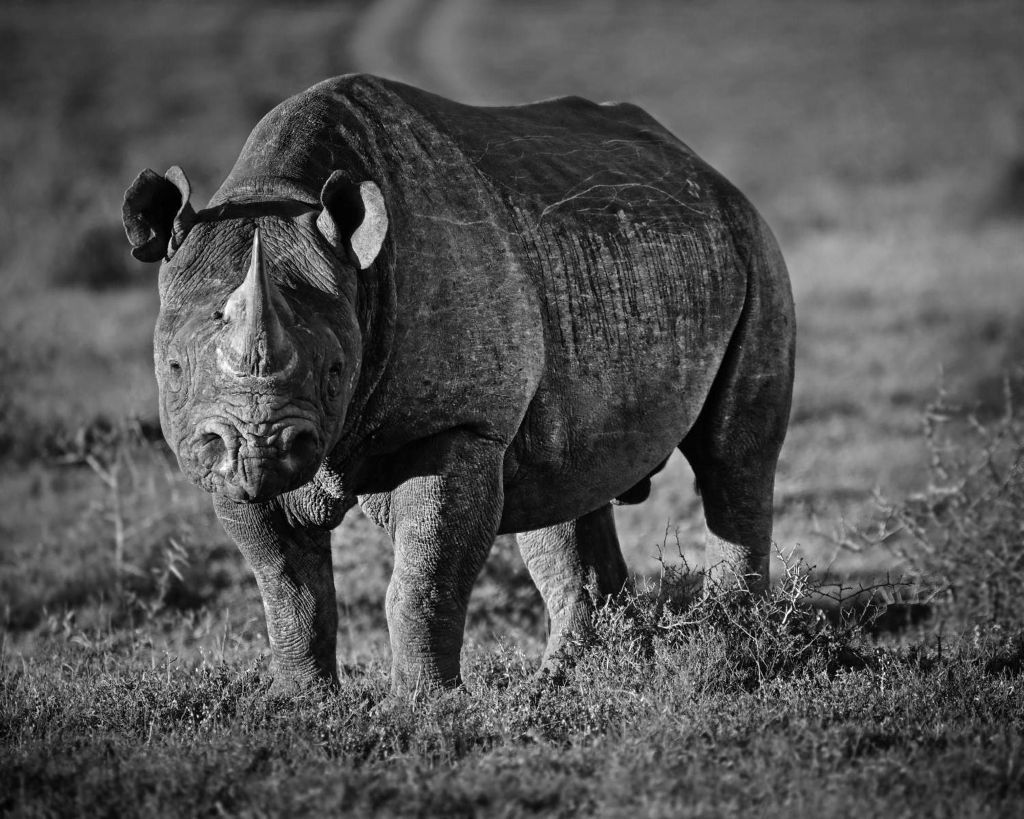 Riverbend Lodge Addo Esterno foto