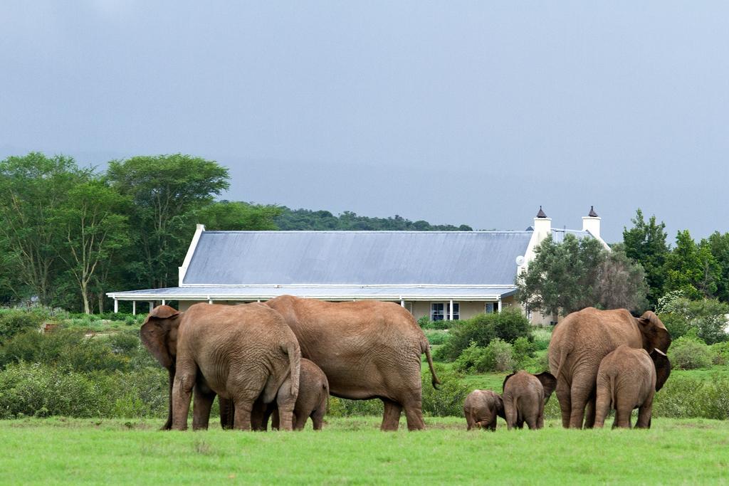 Riverbend Lodge Addo Esterno foto