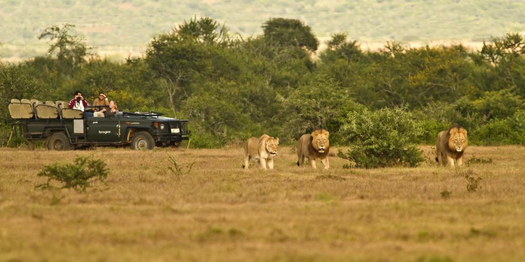 Riverbend Lodge Addo Esterno foto