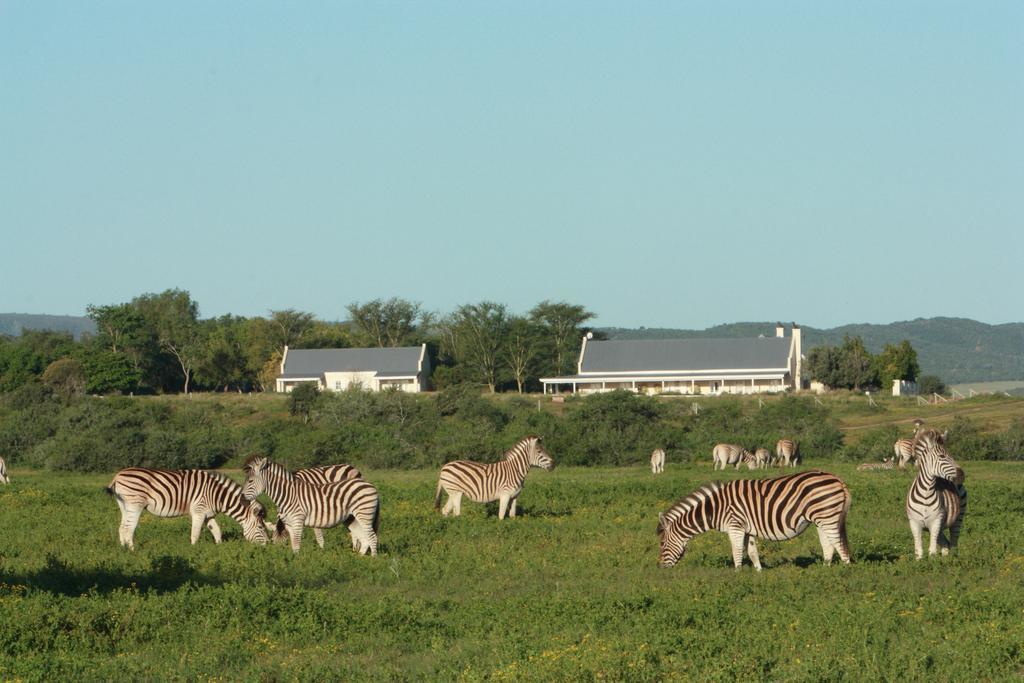 Riverbend Lodge Addo Esterno foto