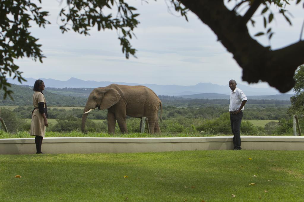 Riverbend Lodge Addo Esterno foto