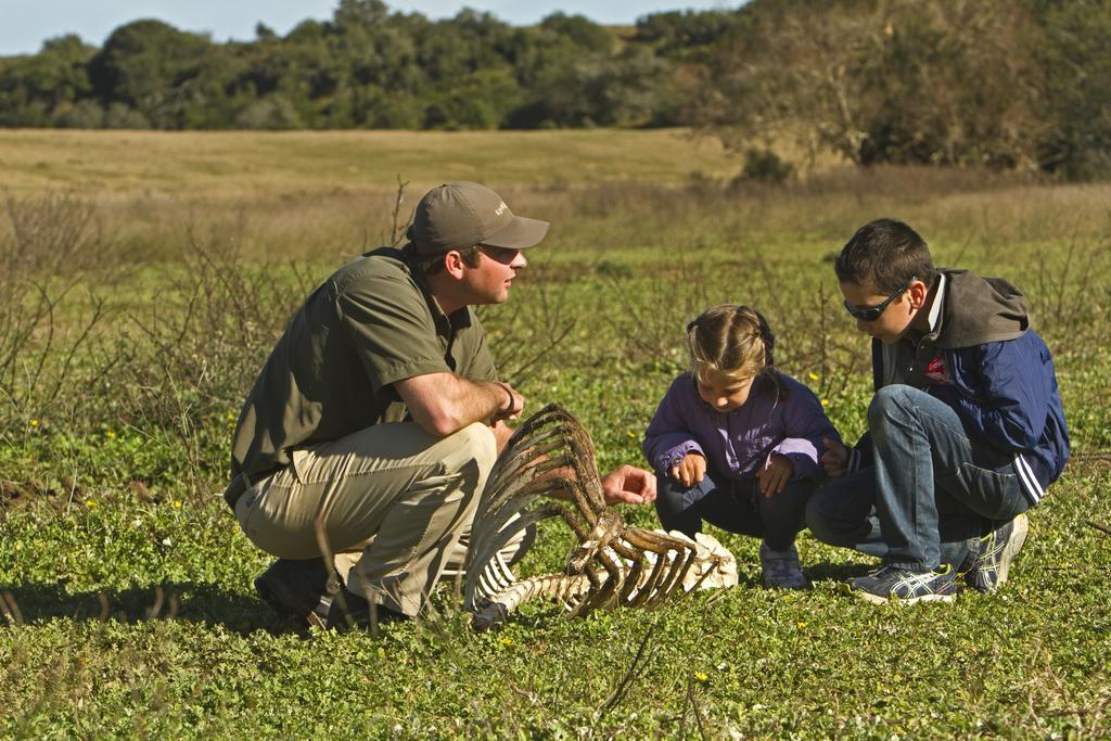 Riverbend Lodge Addo Esterno foto