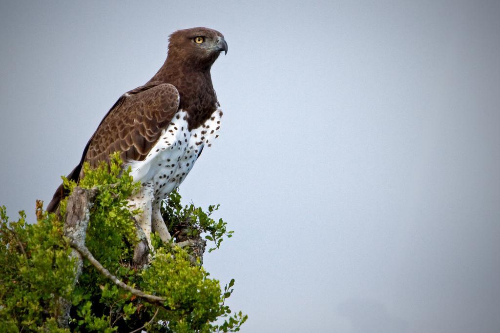 Riverbend Lodge Addo Esterno foto
